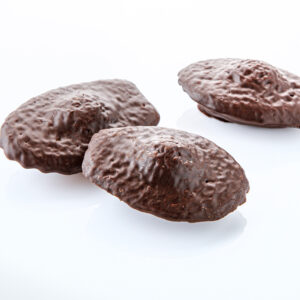 Biscuit bretagne - madeleine pur beurre enrobée de chocolat, fabrication local. Vente biscuit en vrac